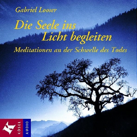 Die Seele ins Licht begleiten - Gabriel Looser