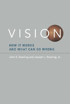 Vision - John E. Dowling, Joseph L. Dowling Jr.