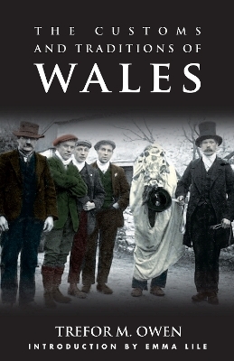 The Customs and Traditions of Wales - Trefor M. Owen