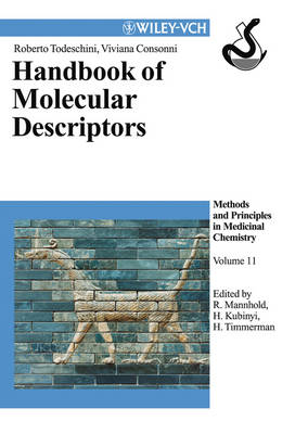 Handbook of Molecular Descriptors - Roberto Todeschini, Viviana Consonni