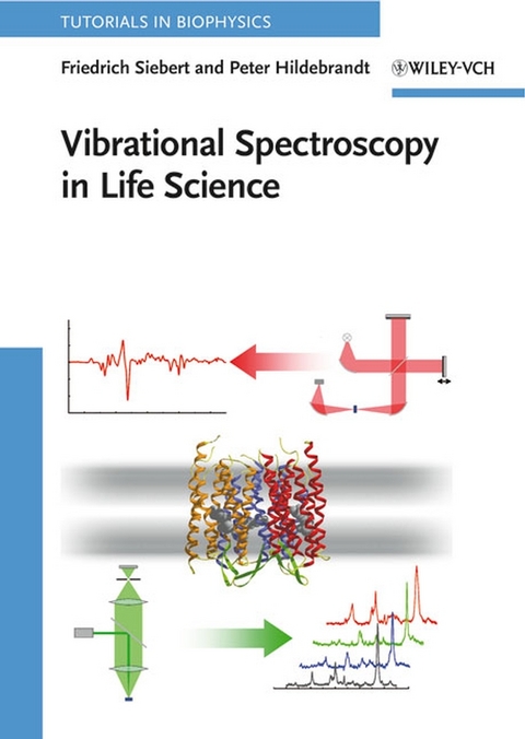 Vibrational Spectroscopy in Life Science - Friedrich Siebert, Peter Hildebrandt