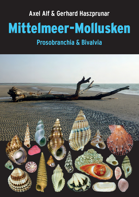 Mittelmeer-Mollusken - Axel Alf, Gerhard Haszprunar