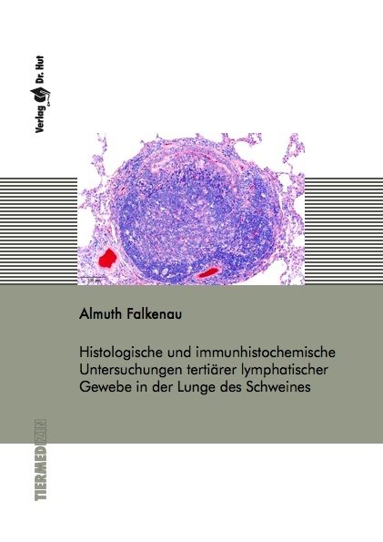 Histologische und immunhistochemische Untersuchungen tertiärer lymphatischer Gewebe in der Lunge des Schweines - Almuth Falkenau