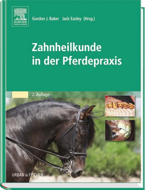 Zahnheilkunde in der Pferdepraxis - 