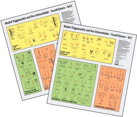 Schmerzfelder der Triggerpunkte - Janet G. Travell, David G. Simons