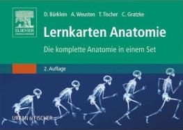 Lernkarten Anatomie - Dominik Bürklein, Axel Weusten, Thomas Tischer, Christian Gratzke