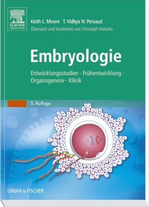 Embryologie - 