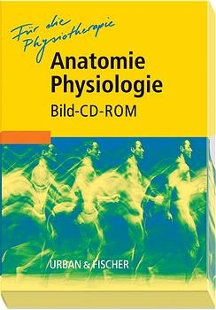 Für die Physiotherapie: Anatomie Physiologie