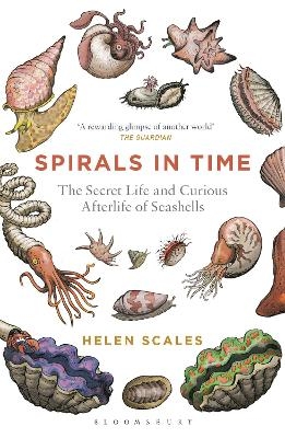 Spirals in Time - Helen Scales