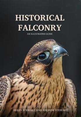 Historical Falconry - Helen and Andrew Stewart