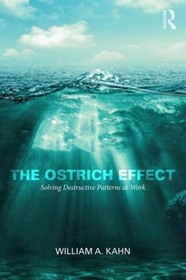 The Ostrich Effect - William Kahn