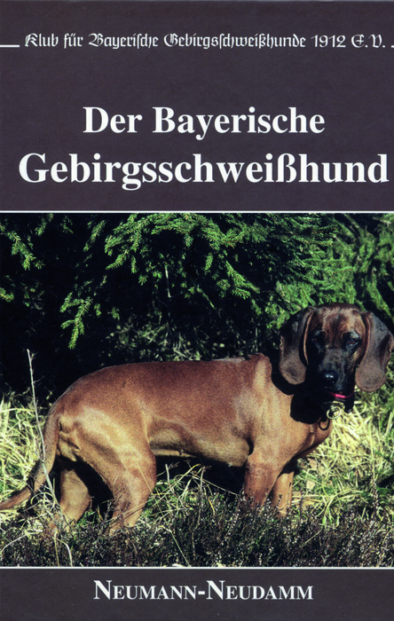 Der Bayerische Gebirgsschweisshund