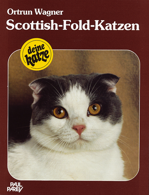 Scottish-Fold-Katzen - Ortrun Wagner