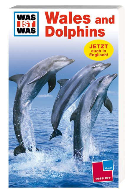 Wales and Dolphins