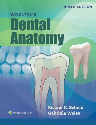 Woelfels Dental Anatomy - Rickne C. Scheid, Gabriela Weiss