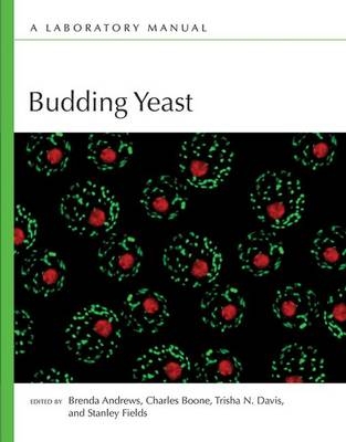 Budding Yeast - 