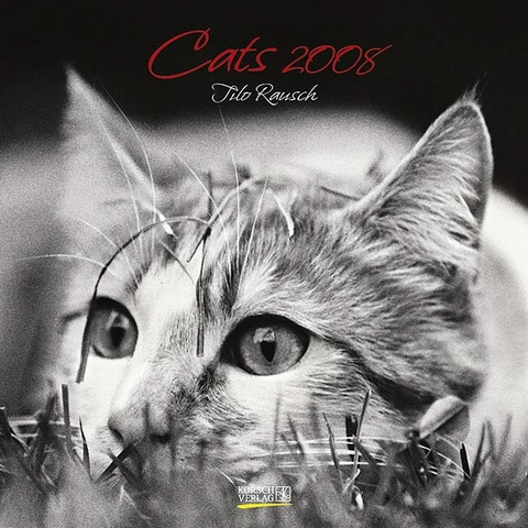 Cats 2008