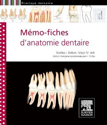 Mémo-fiches d'anatomie dentaire - Stanley J. Nelson, Major M. Ash, Françoise Tilotta