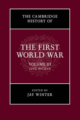 The Cambridge History of the First World War: Volume 3, Civil Society - 