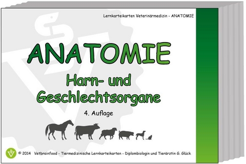 Anatomie: Harn- und Geschlechtsorgane - Gabriele Glück