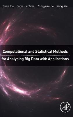 Computational and Statistical Methods for Analysing Big Data with Applications - Shen Liu, James McGree, Zongyuan Ge, Yang Xie