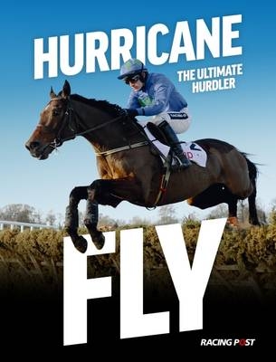 Hurricane Fly - 