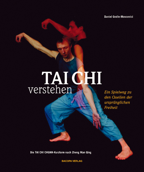 Tai Chi spielend verstehen - Daniel Grolle