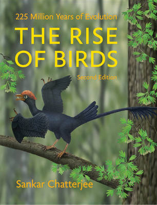 The Rise of Birds - Sankar Chatterjee