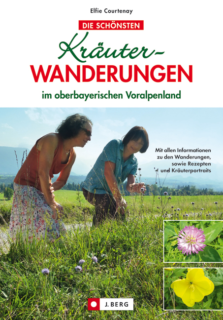 Kräuterwanderungen - Elfie Courtenay