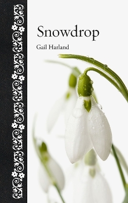 Snowdrop - Gail Harland