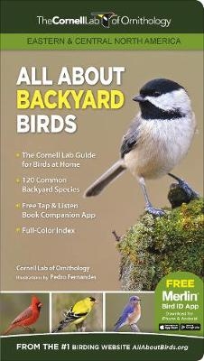 All About Backyard Birds- Eastern & Central North America -  Cornell Lab of Ornithology