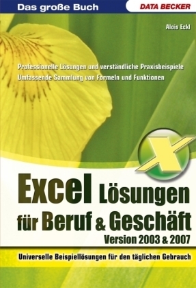 Excel Lösungen für Beruf & Geschäft - Alois Eckl