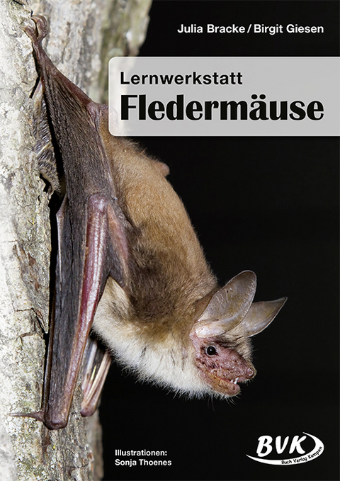 Lernwerkstatt Fledermäuse - Julia Bracke, Birgit Giesen