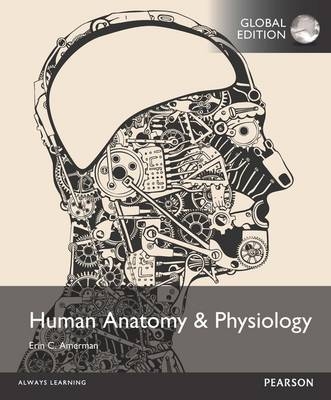 Human Anatomy & Physiology, Global Edition - Erin Amerman