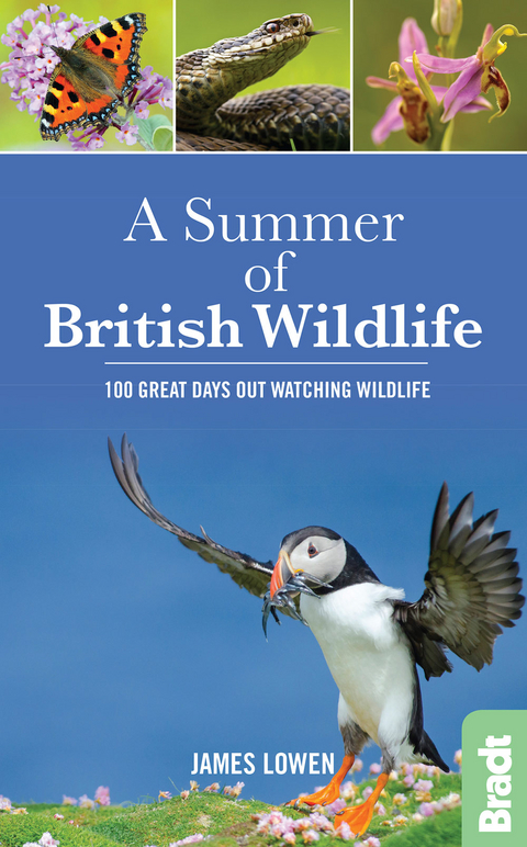 A Summer of British Wildlife - James Lowen