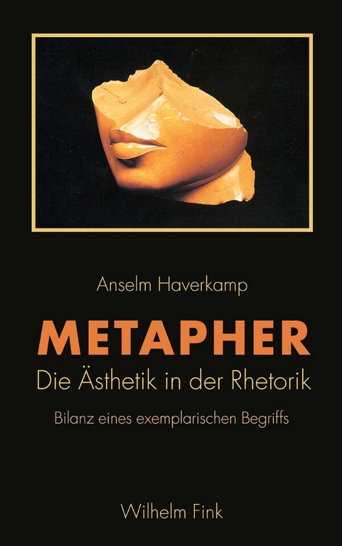 Metapher - Anselm Haverkamp