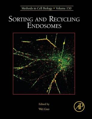 Sorting and Recycling Endosomes - 