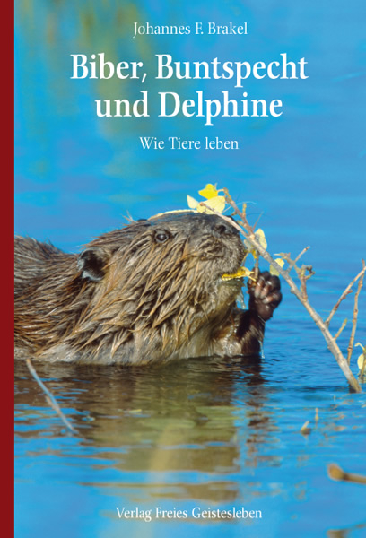 Biber, Buntspecht und Delphine - Johannes F. Brakel