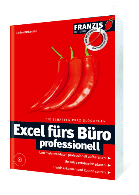 Excel fürs Büro professionell -  Gießen,  Nakanishi