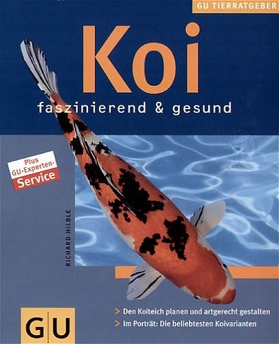 Koi faszinierend & gesund - Richard Hilble