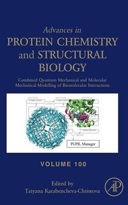 Combined Quantum Mechanical and Molecular Mechanical Modelling of Biomolecular Interactions - 