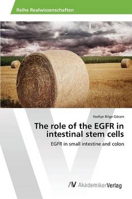 The role of the EGFR in intestinal stem cells - Vasfiye Bilge GÃ¶cen