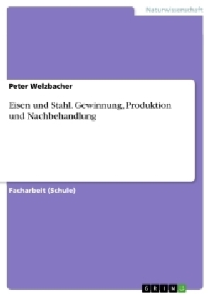 Eisen und Stahl. Gewinnung, Produktion und Nachbehandlung - Peter Welzbacher