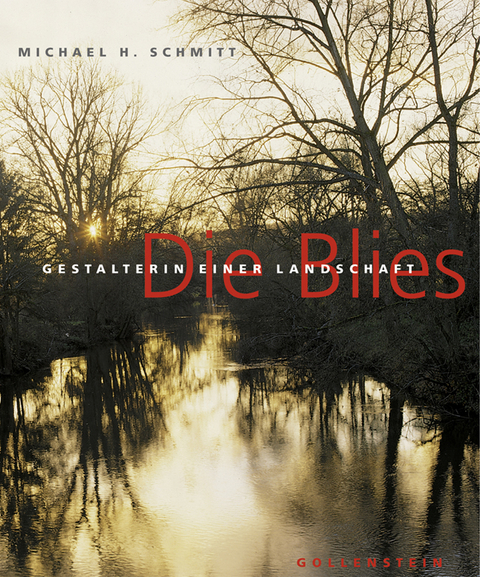 Die Blies - Michael H Schmitt