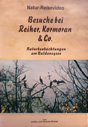 Besuche bei Reiher, Kormoran & Co.