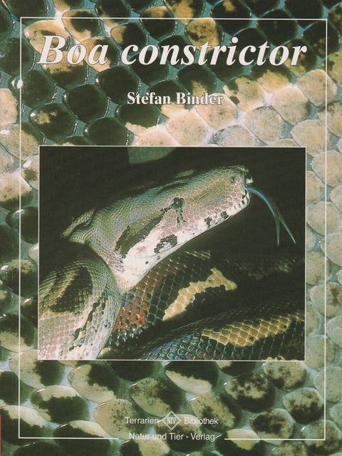 Boa constrictor - Stefan Binder