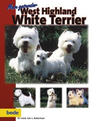 Mein gesunder West Highland White Terrier - L Ackerman