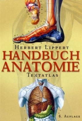 Handbuch Anatomie - Herbert Lippert