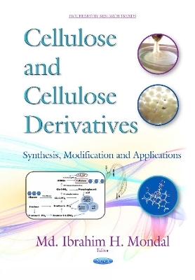 Cellulose & Cellulose Derivatives - 