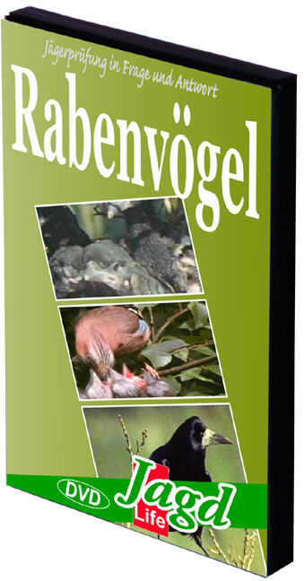 Rabenvögel - Alfons Niedenzu